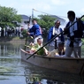 奥田の蓮取り　4