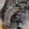 眩しいんですけど・・・