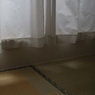 のこる　その20
