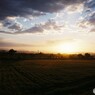写ルンですな夕暮れ