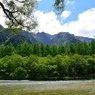清々しい新緑の上高地