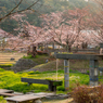 古九谷の杜親水公園１