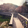 古九谷の杜親水公園３