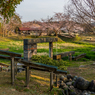 古九谷の杜親水公園４