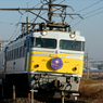 EF81-99