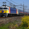 EF81-99