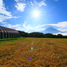 朝霧高原の朝