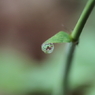 あっちの世界