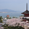 厳島神社