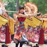 よさこいin光が丘⑯早稲田大学東京花火さん②