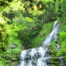 兵庫県　飛龍の滝