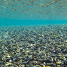 CLEAR BLUE