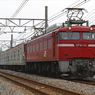EF81-141
