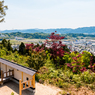 伝・西の丸（水口岡山城跡より）