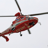 千葉市消防航空隊Eurocopter AS365「おおとり１」JA03CF