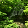 奈良県　魚止めの滝