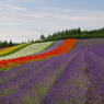 想い出の北海道1