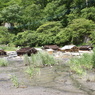 源泉の風景
