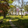 なんでもない山頂風景（水口岡山城跡より）