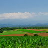 丘の風景