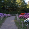 奈良県　馬見丘陵公園