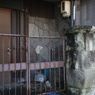くちる　その37