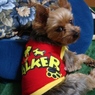 walker