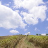 MIYAMA trip.2@05.16