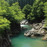 三倉橋の緑