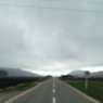 2010/05/14(曇り)ボケ写真