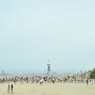 the park