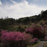 山が染まる