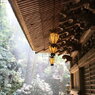 太龍寺にて