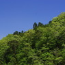 緑山