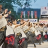 よさこい祭り2016④早稲田大学踊り侍さん