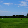 昭和記念公園