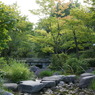 昭和記念公園・日本庭園