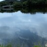 ボート池＃２