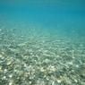 RIVER DRIFT