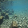RIVER DRIFT 2