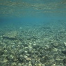 RIVER DRIFT3