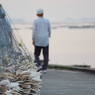 散歩。