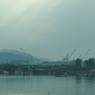 朝