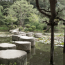 平安神宮・竜の道