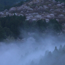 朝霧の向こうに