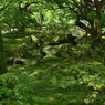銀閣寺