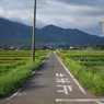 田園ーどこまでも続く道