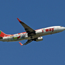 飛び立ち t'way 737-8Q8 HL8294