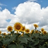 DSCF0031