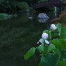 夜明けの孫文蓮・６